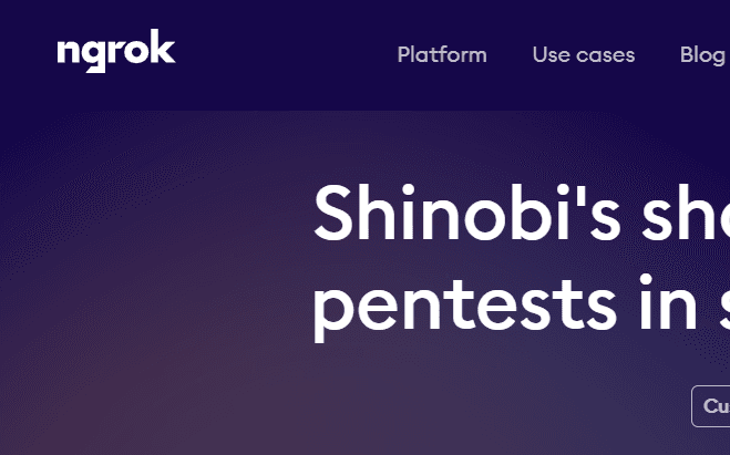 Shinobi's Shortcut to AI-Powered Pentests in Dev Environments